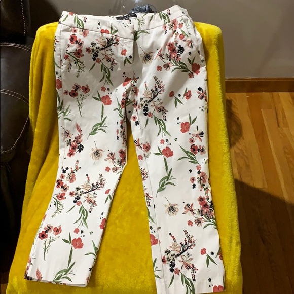 Capris - Picture 4 of 5